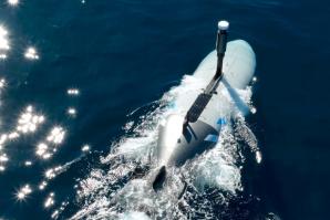Le Démonstrateur XL UUV en mer